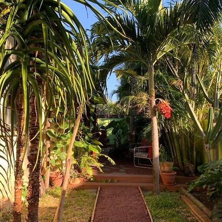 Le Dodo Sale Apartment Étang-Salé les Bains Bagian luar foto